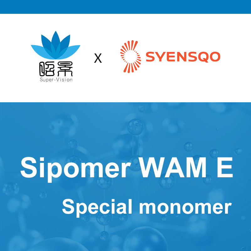[Syensqo] Sipomer WAM E